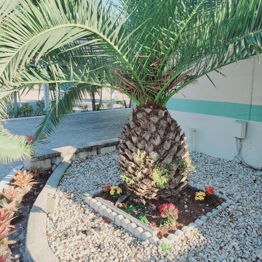 Tropical Palm Motel North Fort Myers Exterior photo